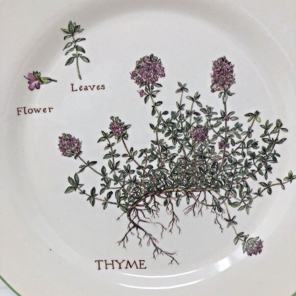 Williams Sonoma Culinary Herbs Luncheon Plates 8.75" Salad Portugal Set of 3 - Picture 10 of 12